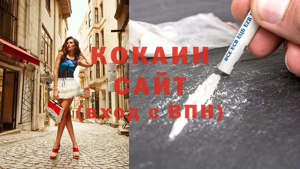 PSILOCYBIN Остров