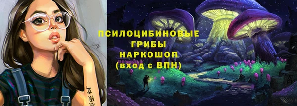PSILOCYBIN Остров